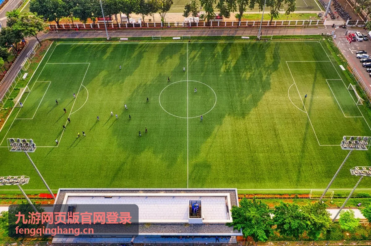 网页版会员等级权益差别对比示意